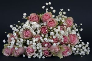 roses-1420719_1920-300×200