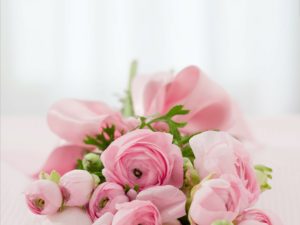 roses-142876_1920-300×225